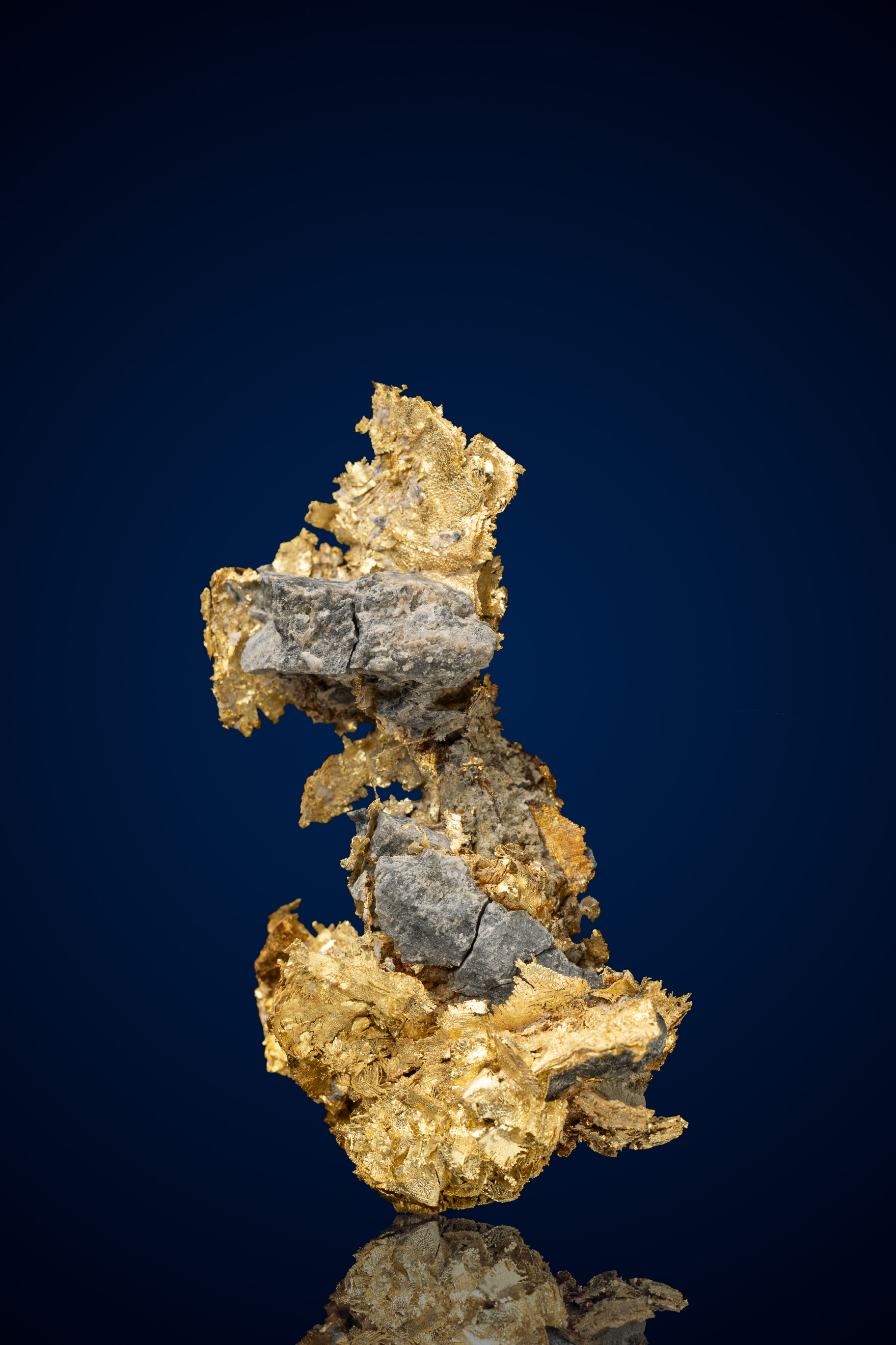 (image for) Striking, Sculptural Natural Gold and Shale Rock Specimen - Washoe County, NV - 13.76 grams